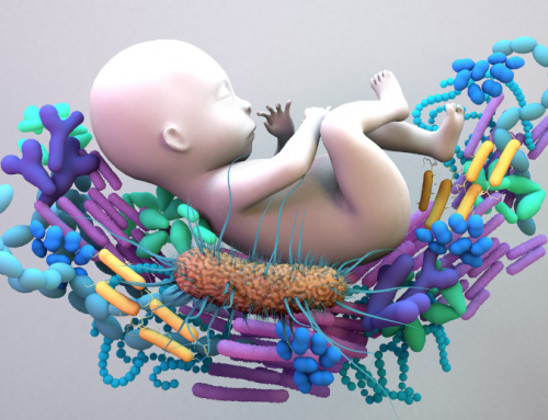Nurturing a Healthy Microbiome: Key Factors for Newborns’ Lifelong Health