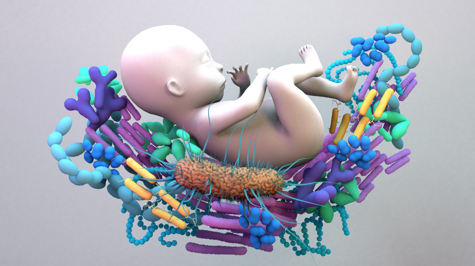microbiome and birth